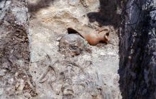 Programma televisivo Sardegna Archeologica