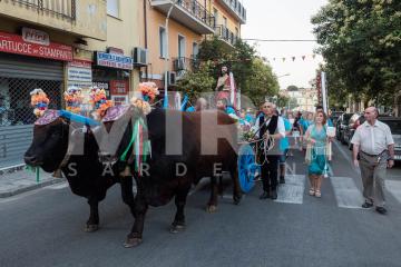 Primavera a Siniscola