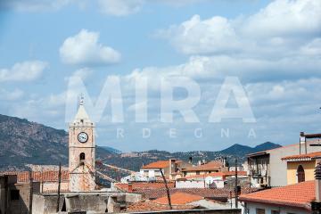 Autunno in Barbagia Cortes Apertas Oliena