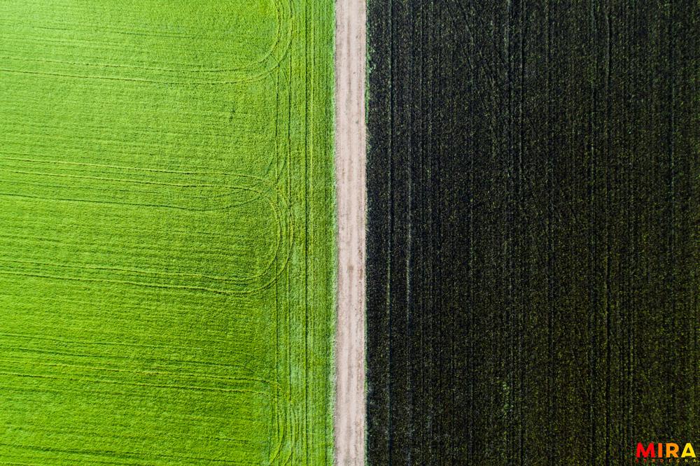 Riso agricola Passiu